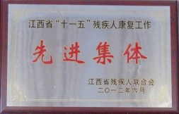 荣誉资质