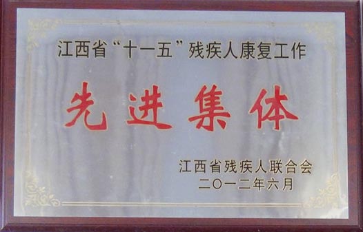 荣誉资质